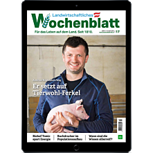 Persönliches Abo E-Paper