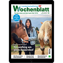 Studenten-Abo E-Paper mit 25% Rabatt