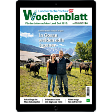 Persönliches Abo E-Paper