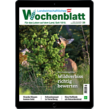 Studenten-Abo E-Paper mit 25% Rabatt
