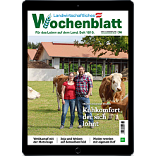Schnupper-Abo E-Paper