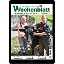 Studenten-Abo E-Paper mit 25% Rabatt