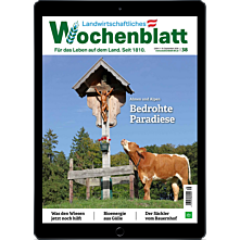 Schnupper-Abo E-Paper
