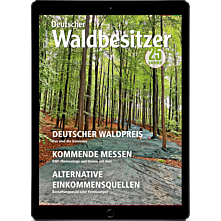 Probelesen E-Paper