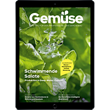 Persönliches Abo E-Paper