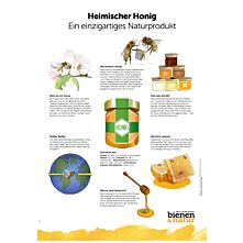 Infotafel Heimischer Honig 550x841 mm