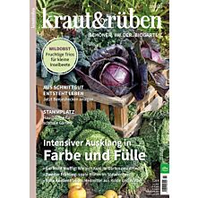 Geschenk-Abo Plus-Paket