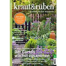 Geschenk-Abo Plus-Paket