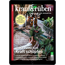 E-Paper-Geschenk-Abo