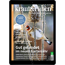 E-Paper-Schnupper-Abo