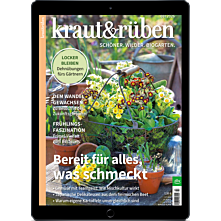 E-Paper-Abo 15 für 12