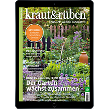 E-Paper-Geschenk-Abo
