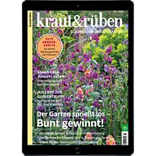 E-Paper-Abo 15 für 12