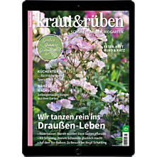 E-Paper-Abo 15 für 12