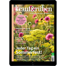 E-Paper-Geschenk-Abo