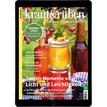 E-Paper-Schnupper-Abo