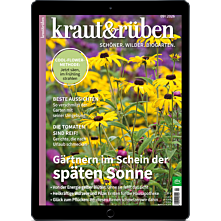 E-Paper-Schnupper-Abo