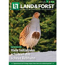 Schnupper-Abo Plus-Paket