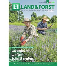 Oster-Abo für Sie