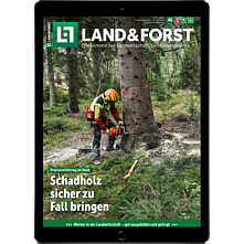 Schnupper-Abo E-Paper