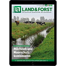 Schnupper-Abo E-Paper