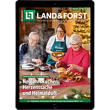 Schnupper-Abo E-Paper