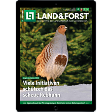 Schnupper-Abo E-Paper