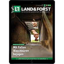 Geschenk-Abo Weihnachtspaket E-Paper