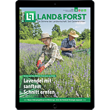Oster-Abo E-Paper für Sie