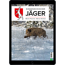 Persönliches Abo digital