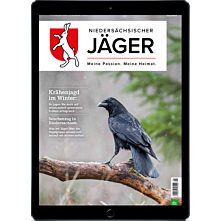 Schnupper-Abo digital