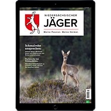 Schnupper-Abo E-Paper