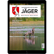 Schnupper-Abo E-Paper