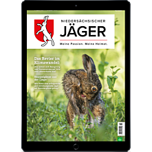 E-Paper Probelesen