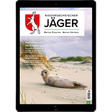 Schnupper-Abo E-Paper