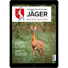 Studenten-Abo E-Paper mit 25% Rabatt