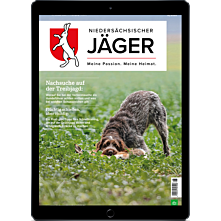 E-Paper Probelesen