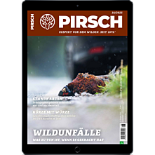 Persönliches Abo digital