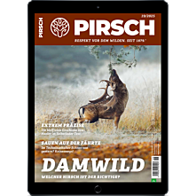 Schnupper-Abo digital