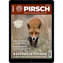 Schnupper-Abo digital