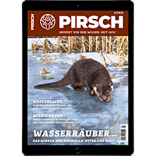 Schnupper-Abo E-Paper