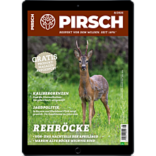 Persönliches Abo E-Paper