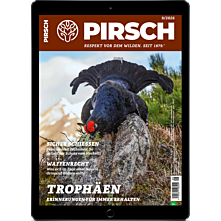 Persönliches Abo E-Paper