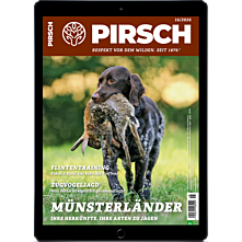 Schnupper-Abo E-Paper