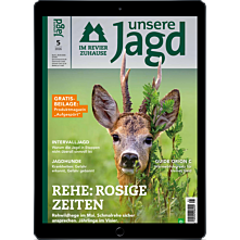 Persönliches Abo E-Paper