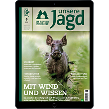Persönliches Abo E-Paper