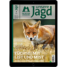 E-Paper kostenlos Probelesen