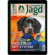E-Paper kostenlos Probelesen