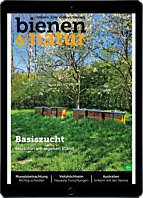 E-Paper-Schnupper-Abo