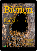 E-Paper-Geschenk-Abo